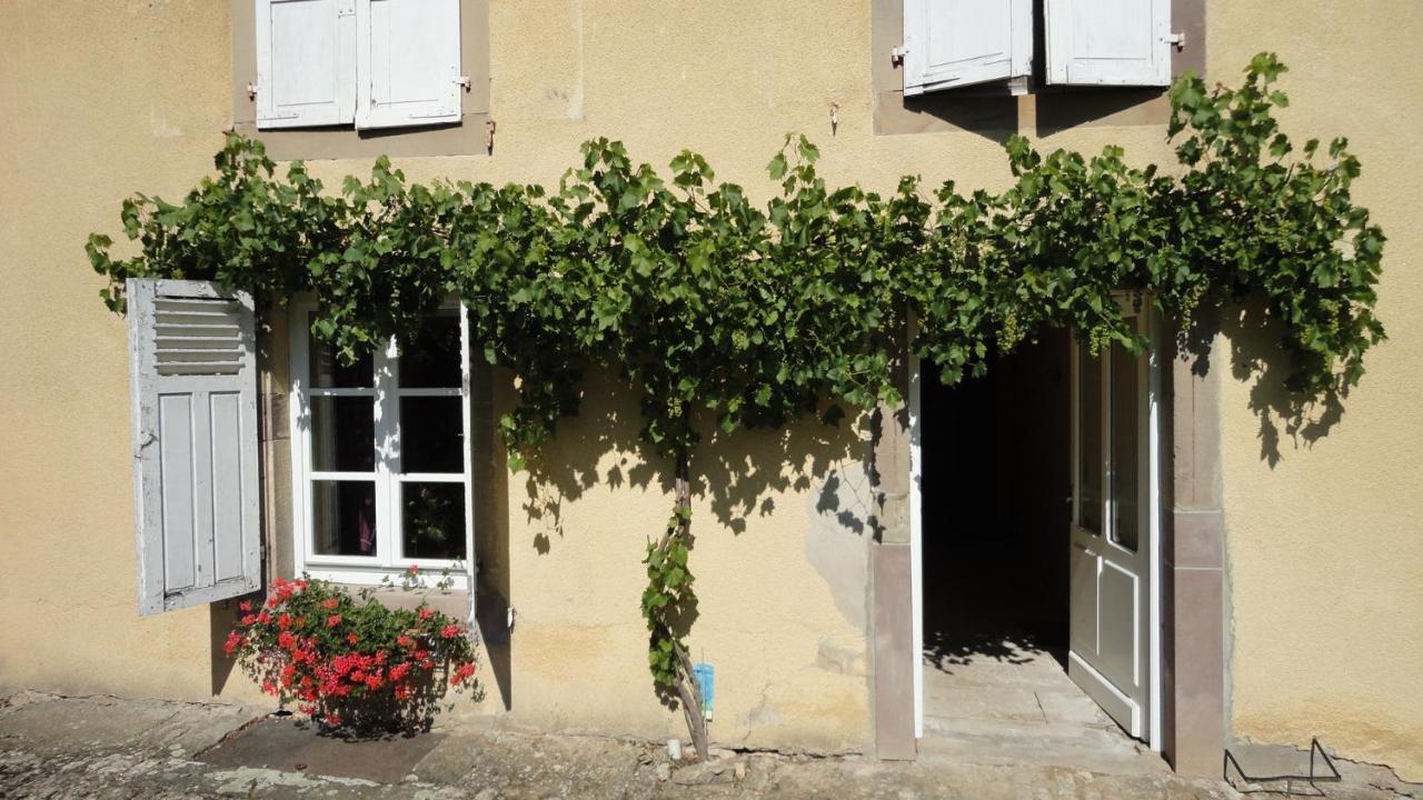 Domaine Les Bachats Rhodes Zewnętrze zdjęcie